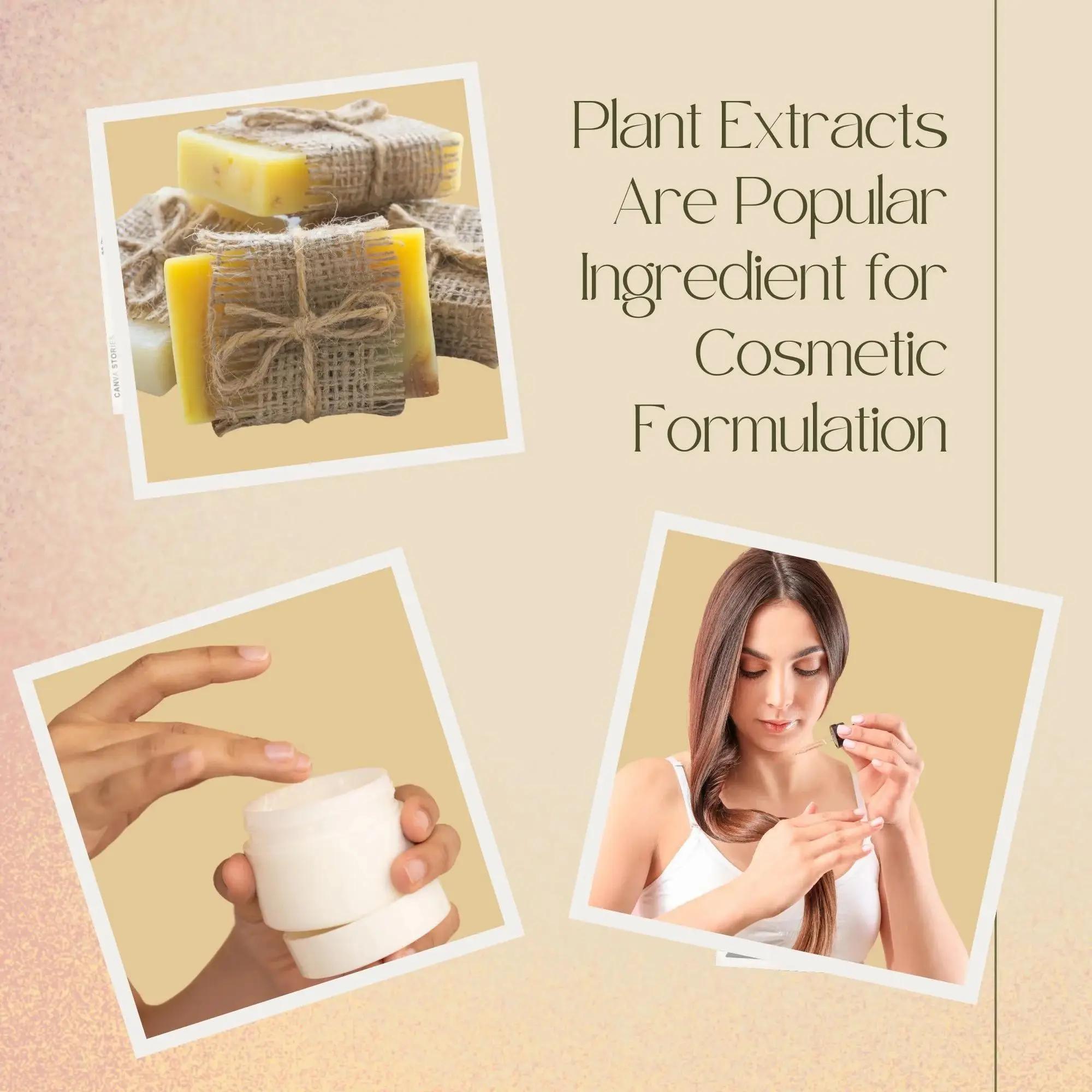 High Quality Soapberry Extract - Hair Care For Hair Loss recensie en prijs