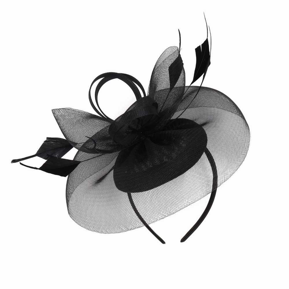 Fashion Feathers Mesh Fascinat - Hair Net Invisible recensie en prijs