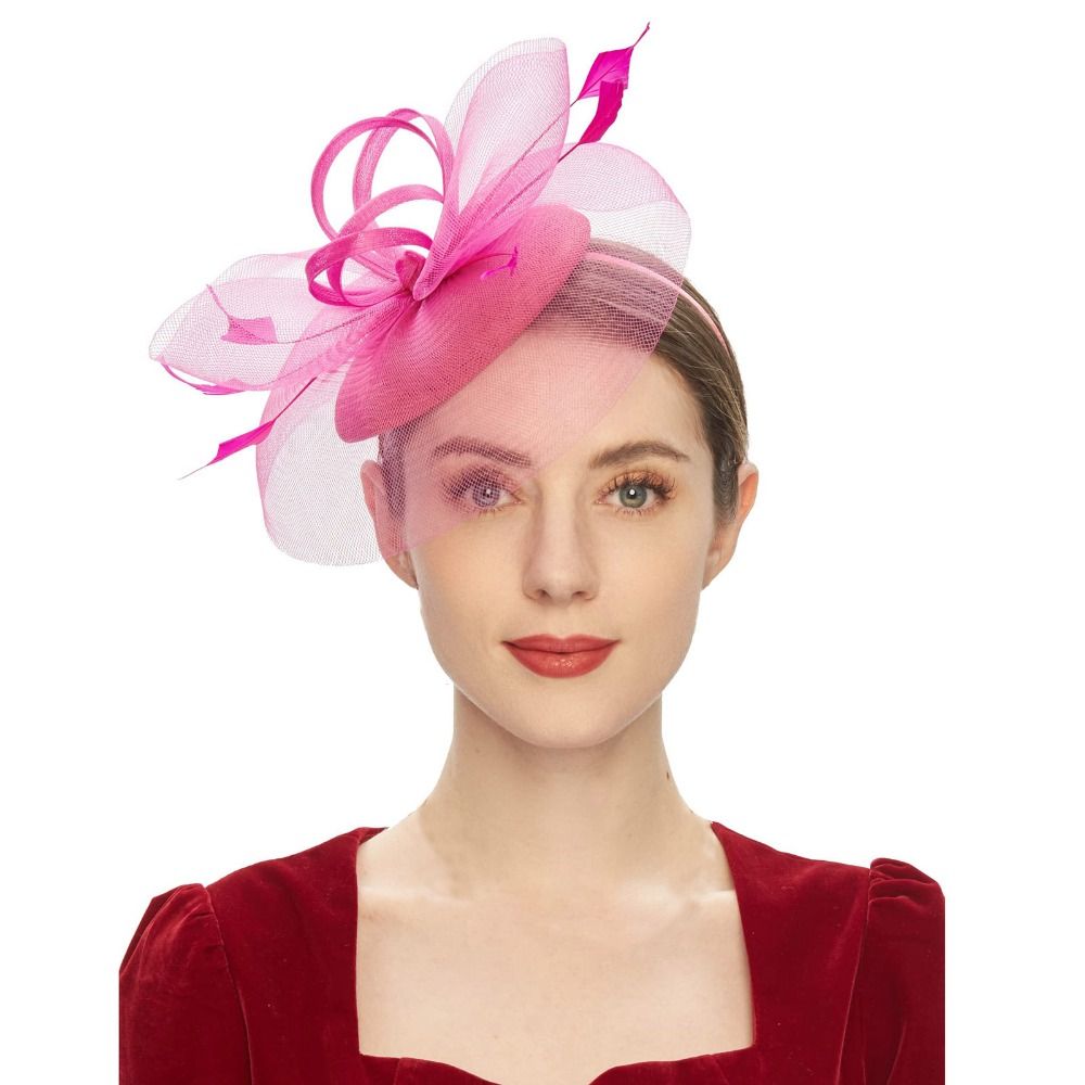 Fashion Feathers Mesh Fascinat - Hair Net Invisible recensie en prijs