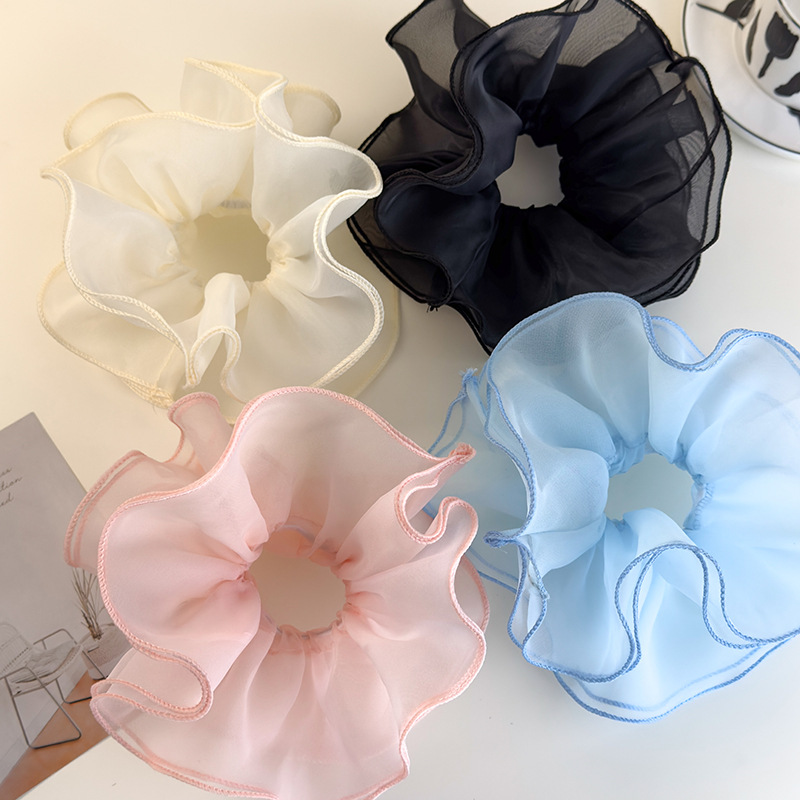 Ballet Style Double-Layer Mesh - Hair Net Invisible recensie en prijs
