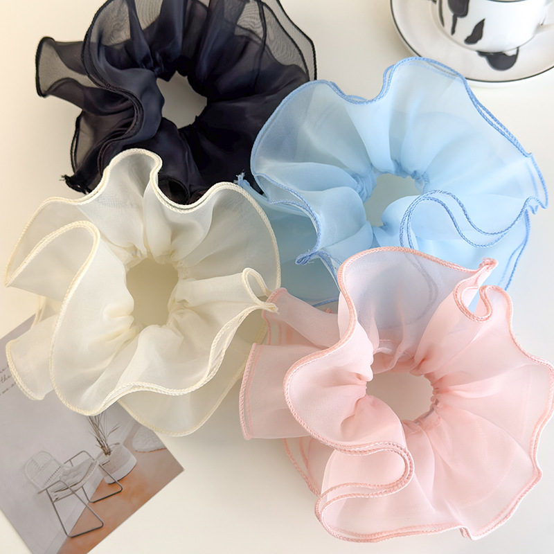 Ballet Style Double-Layer Mesh - Hair Net Invisible recensie en prijs