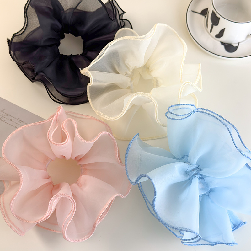 Ballet Style Double-Layer Mesh - Hair Net Invisible recensie en prijs
